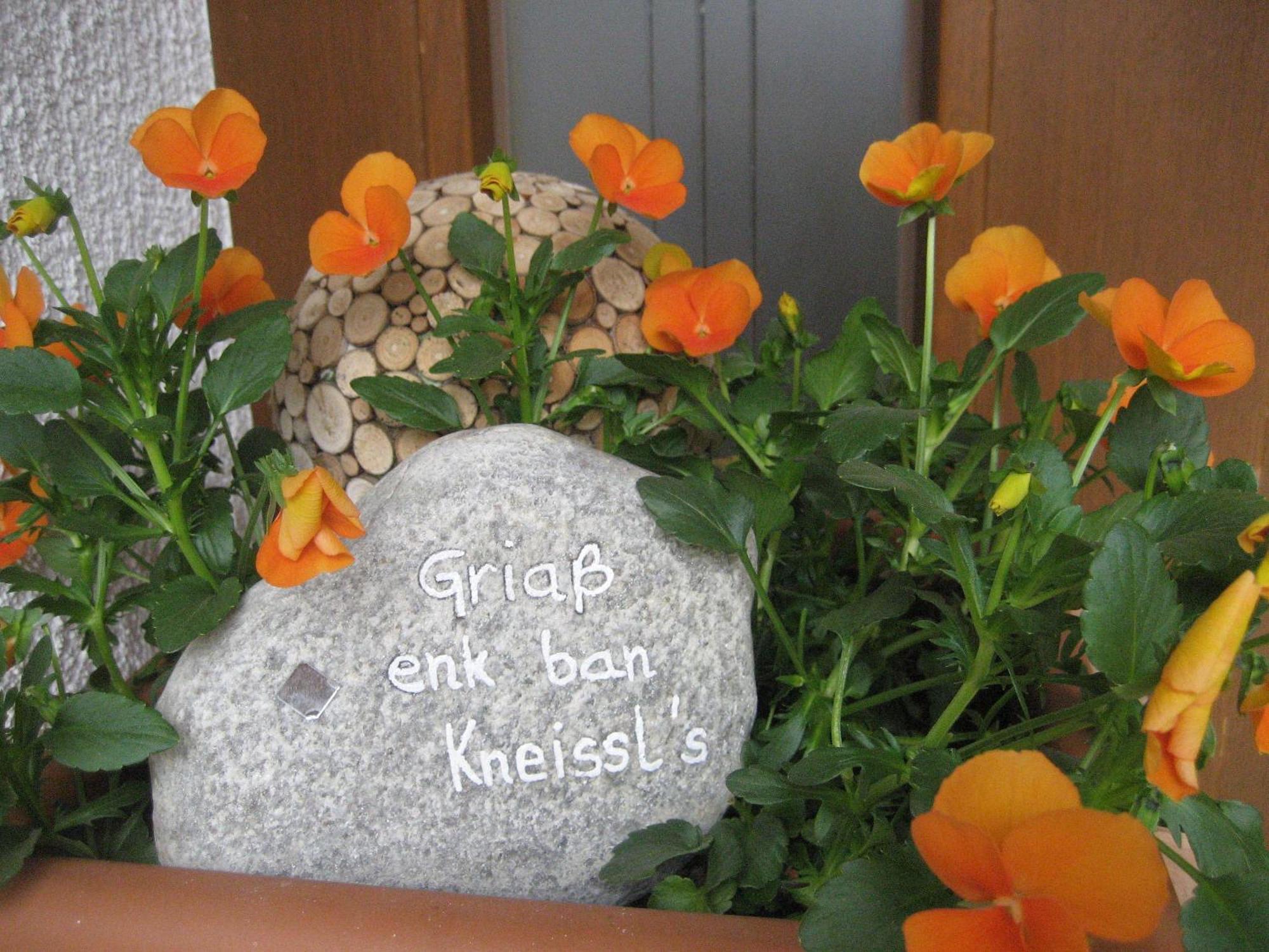 Ban Kneissl'S Apartment อุมเฮาเซิน ภายนอก รูปภาพ