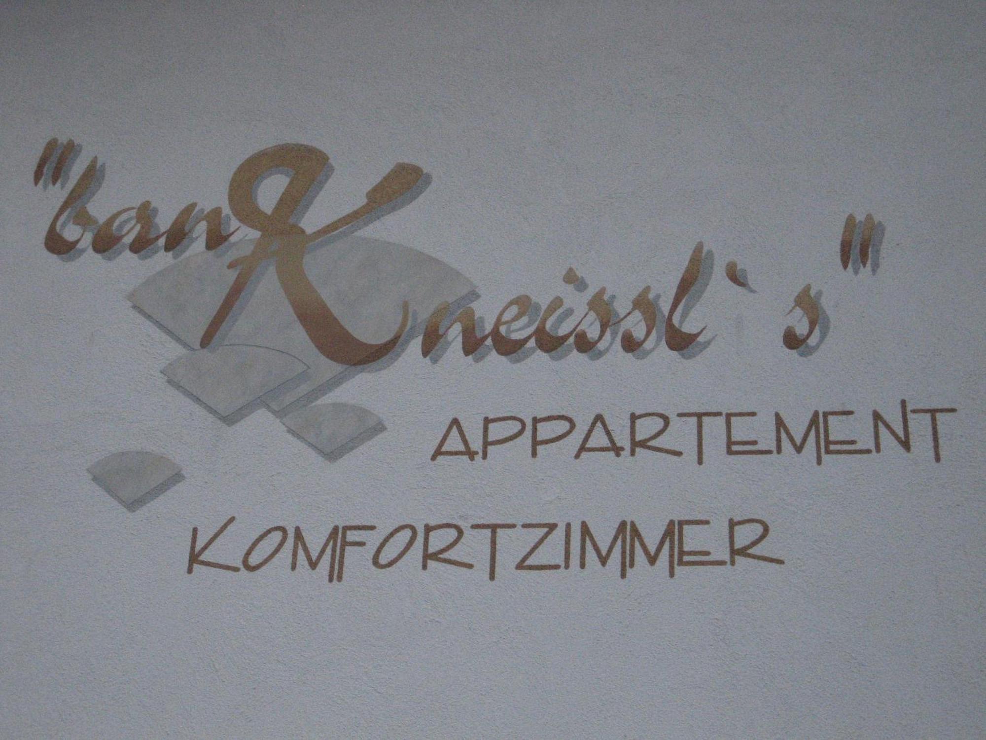 Ban Kneissl'S Apartment อุมเฮาเซิน ภายนอก รูปภาพ